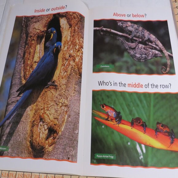 Up, Down, All Around BIG BOOK (almost 2 feet tall) with teacher pages CLASSROOM - Picture 4 of 14